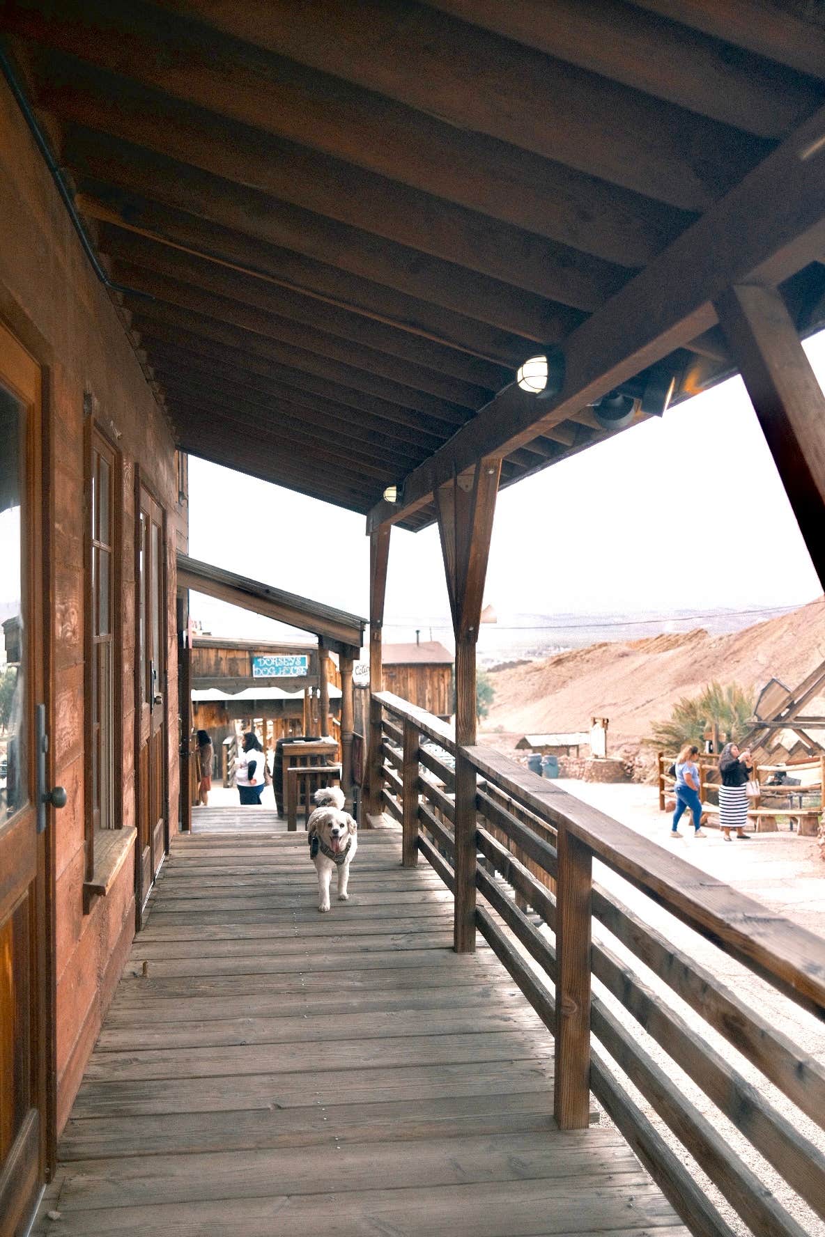 Stephanie W.'s photo of camping with pets at Calico Ghost Town near Newberry Springs, CA