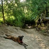 Review photo of Camp Comfort Park by Lizk , May 27, 2026