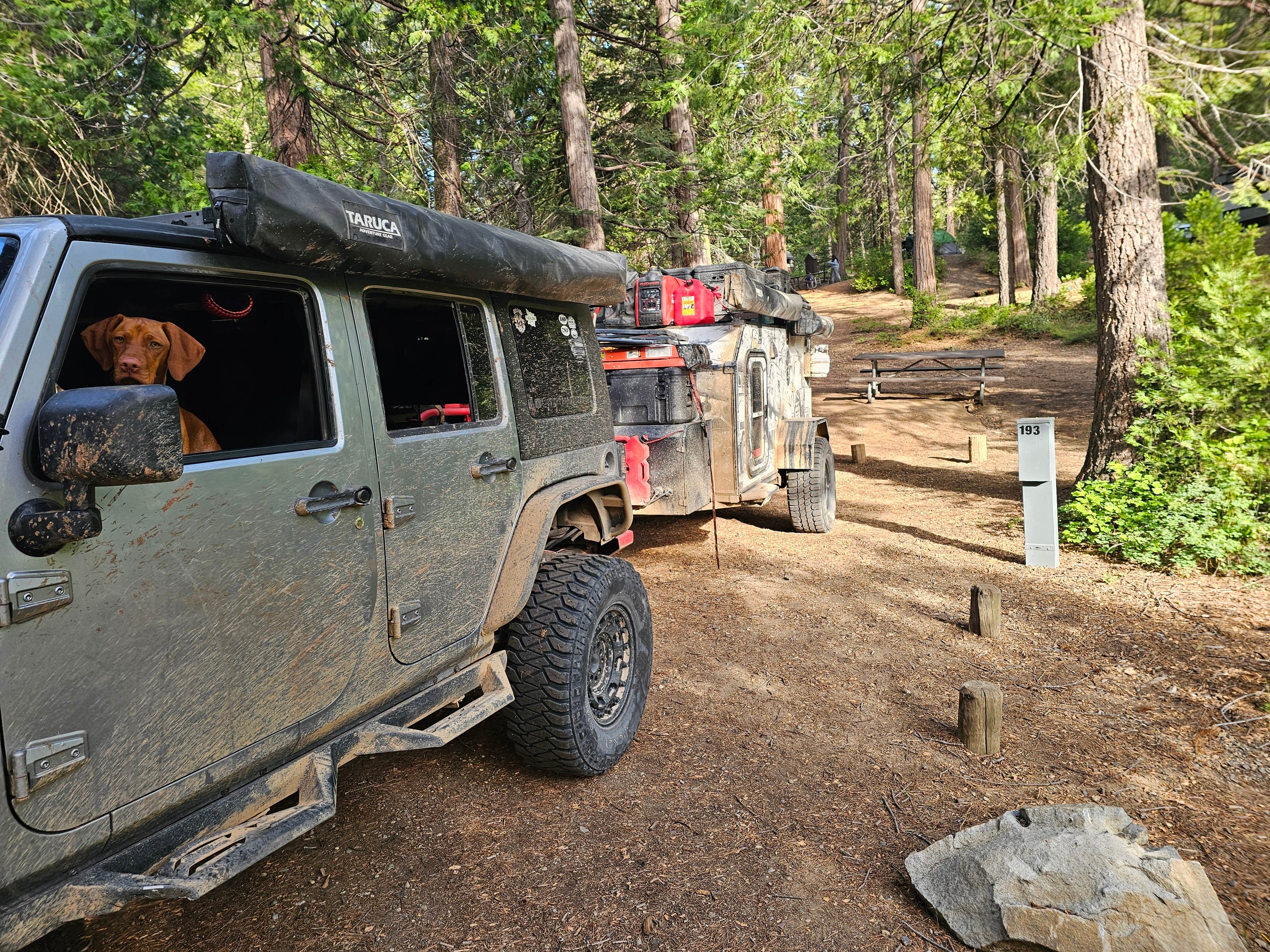 SpentBrassOffroad B.'s photo of camping with pets at Camp Edison near Fresno, CA