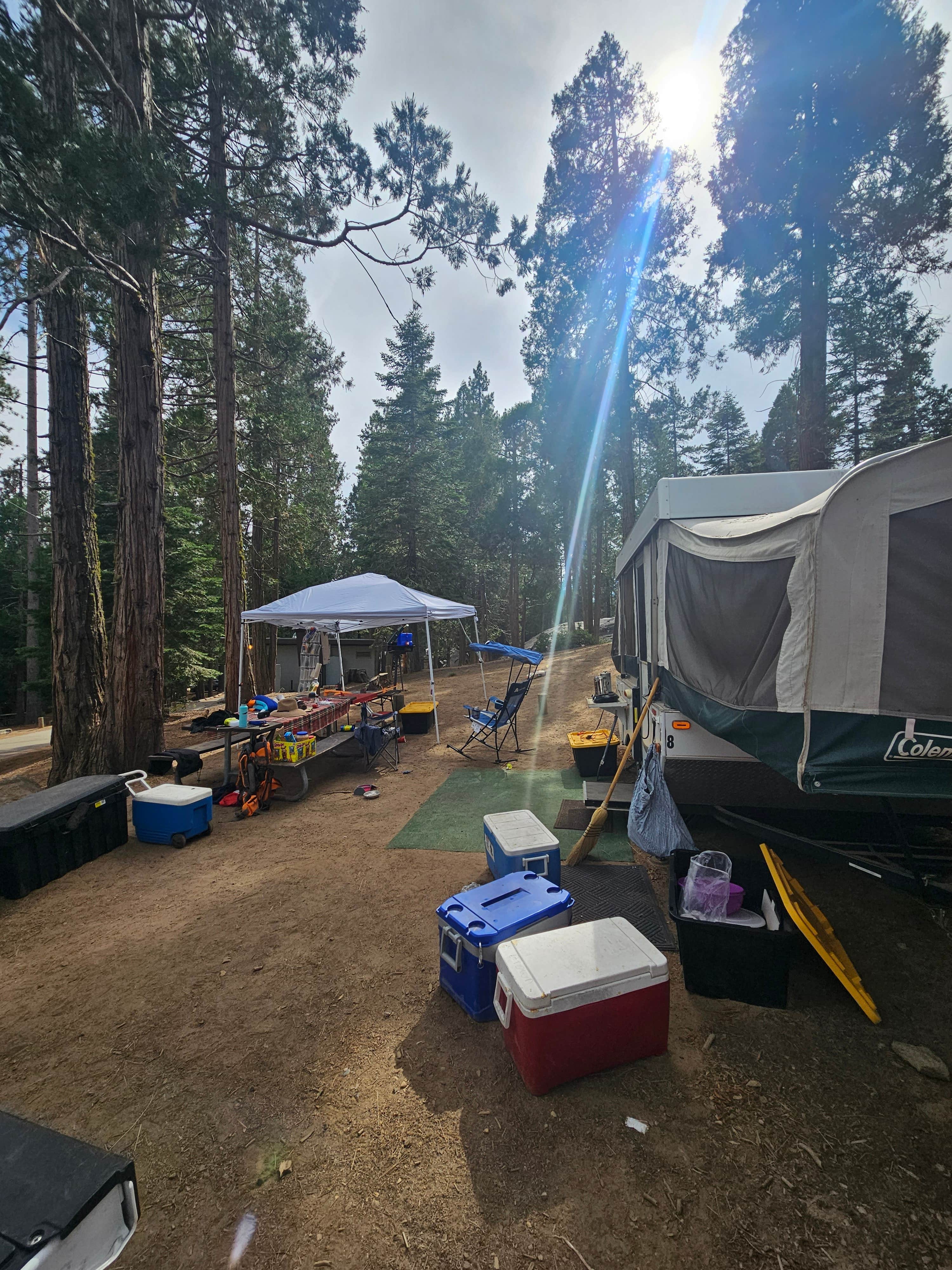 dakota B.'s photo at Camp Edison near Big Creek, CA