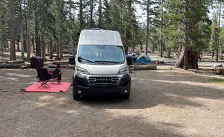 marcus K.'s photo at Camp High Sierra near Devils Postpile National Monument