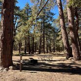 Review photo of Campo Alto Campground by AnnaEvan S., October 15, 2024