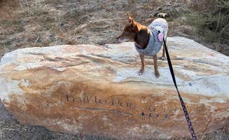 Sandi M.'s photo of camping with pets at Santa Cruz Campground — Carpinteria State Beach near Buellton, CA