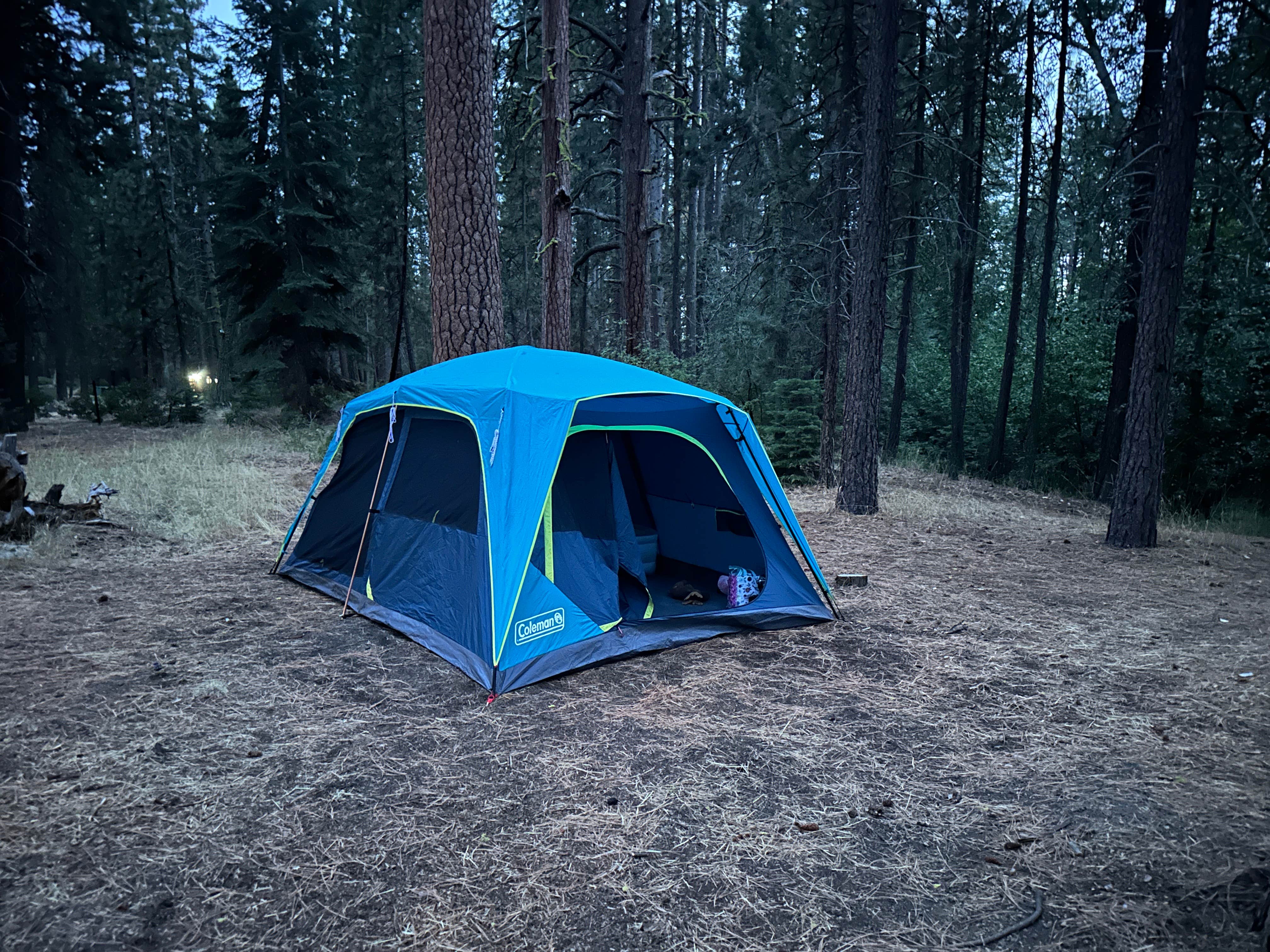 Greg N.'s photo at Cave Campground near Cassel, CA