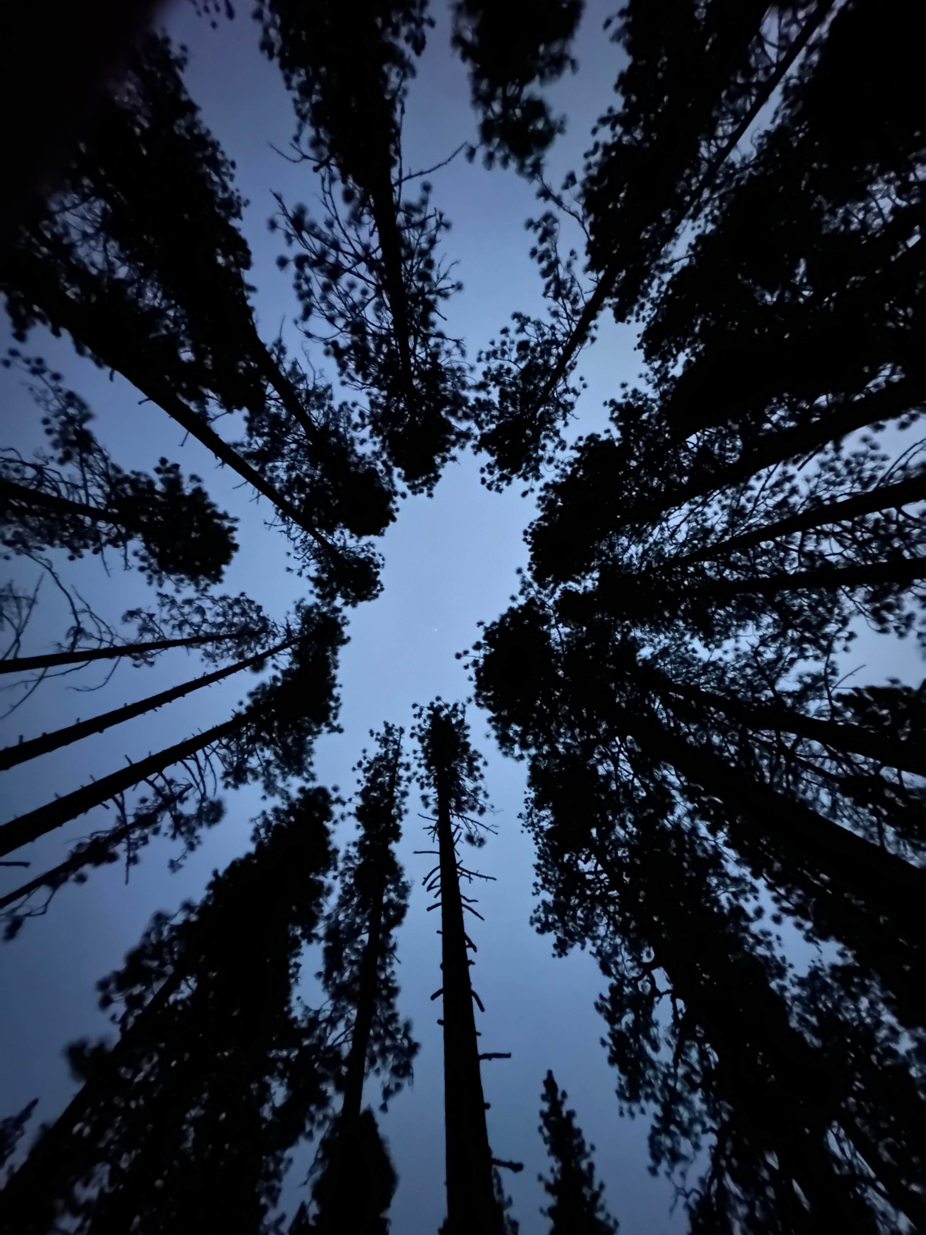 Camper-submitted photo at Cave Campground near Hat Creek, CA