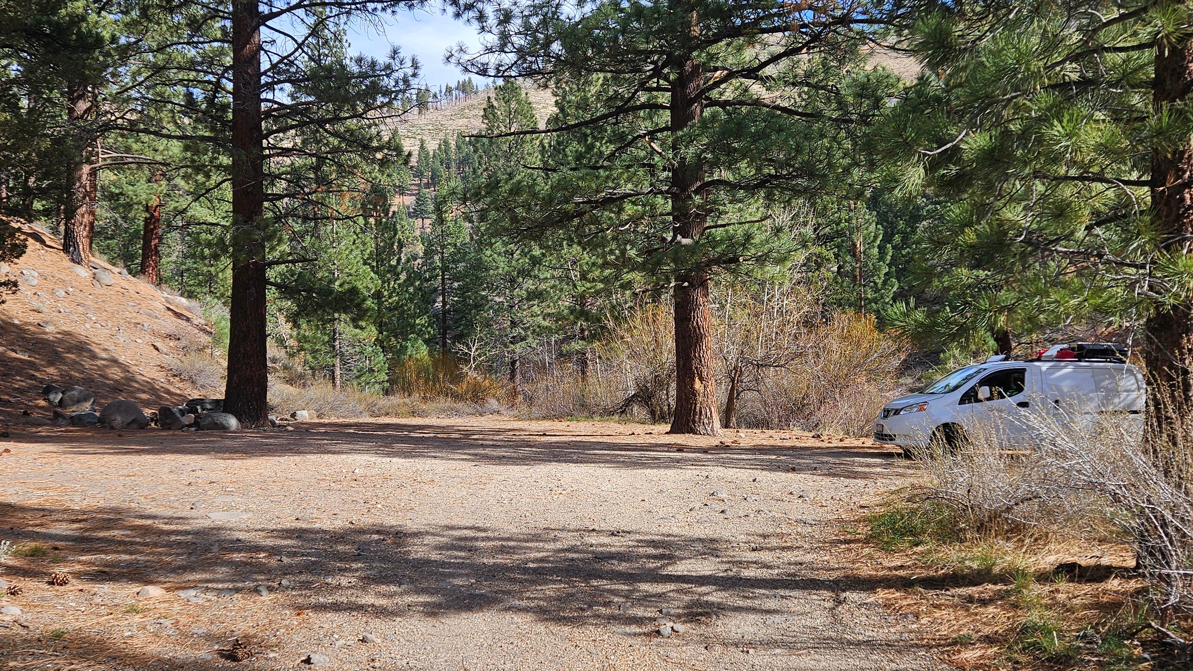Camper submitted image from Centerville Flat Campground - 4