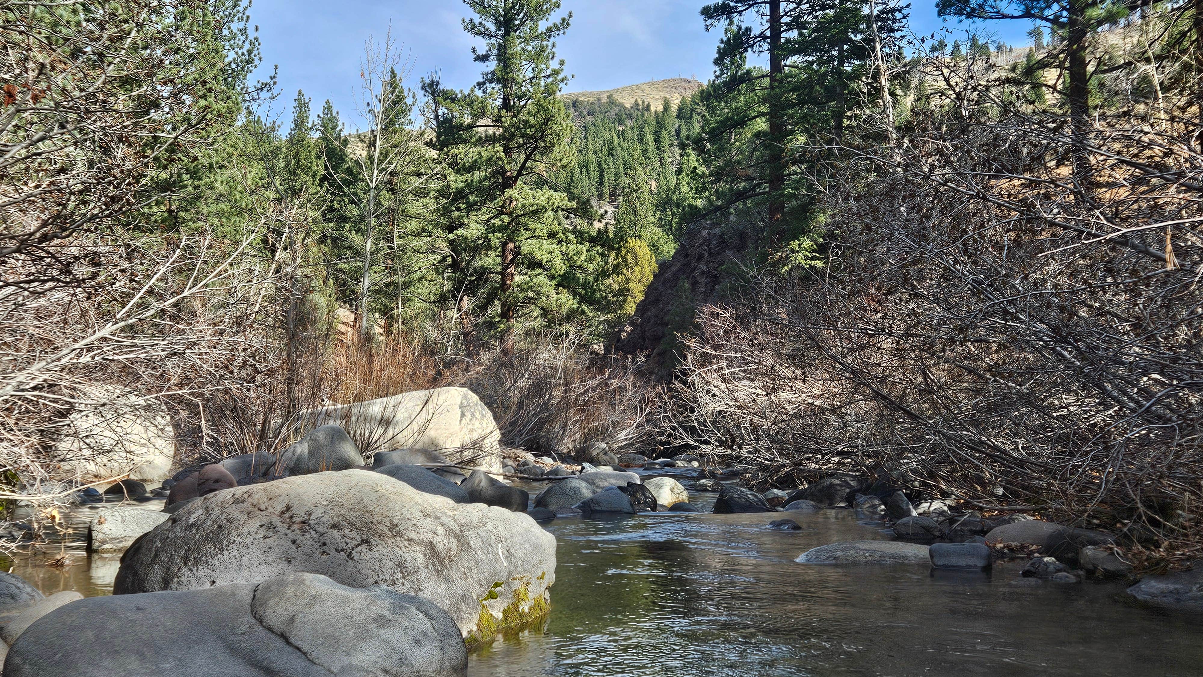 Camper submitted image from Centerville Flat Campground - 2