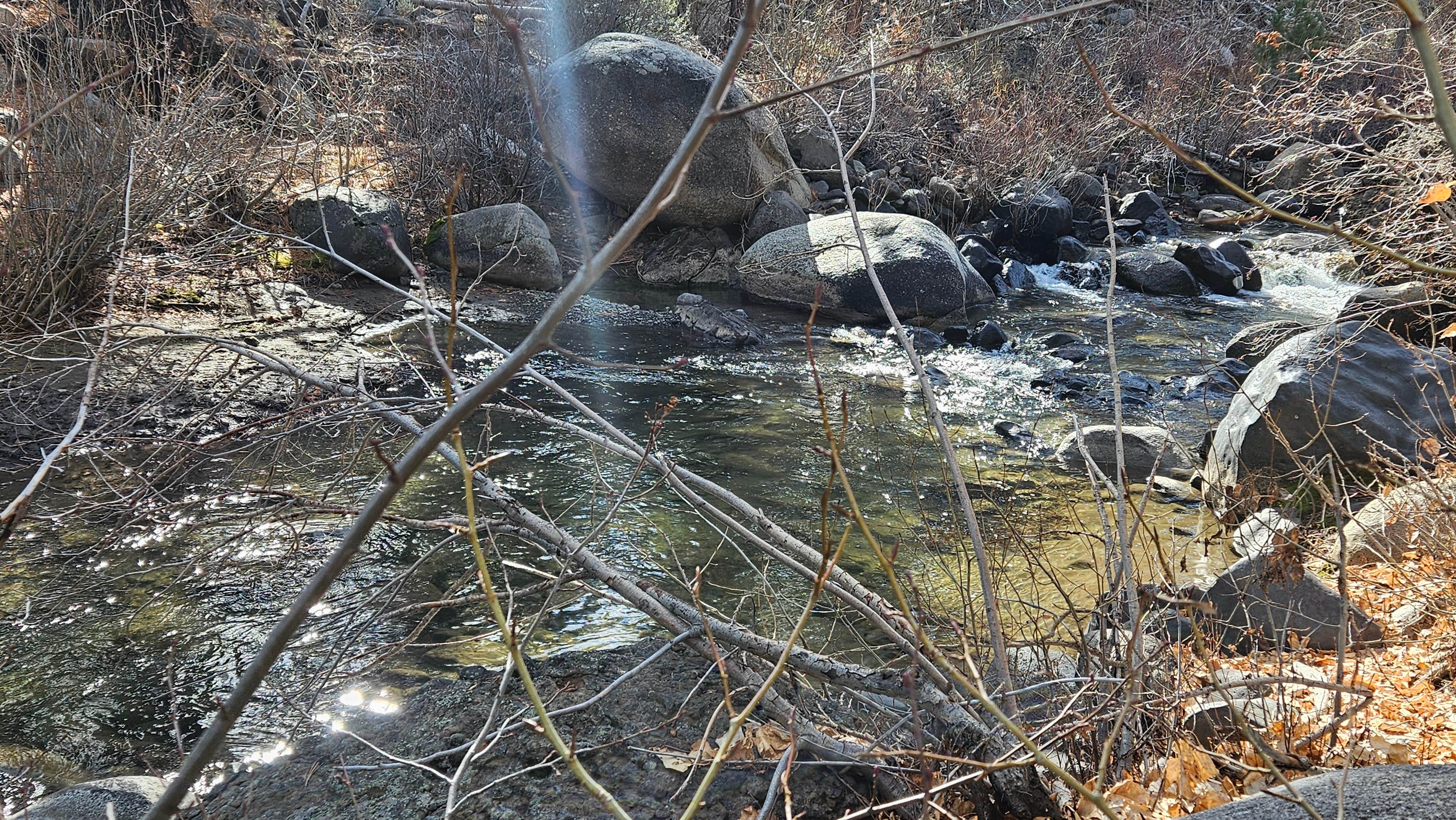 Camper submitted image from Centerville Flat Campground - 3