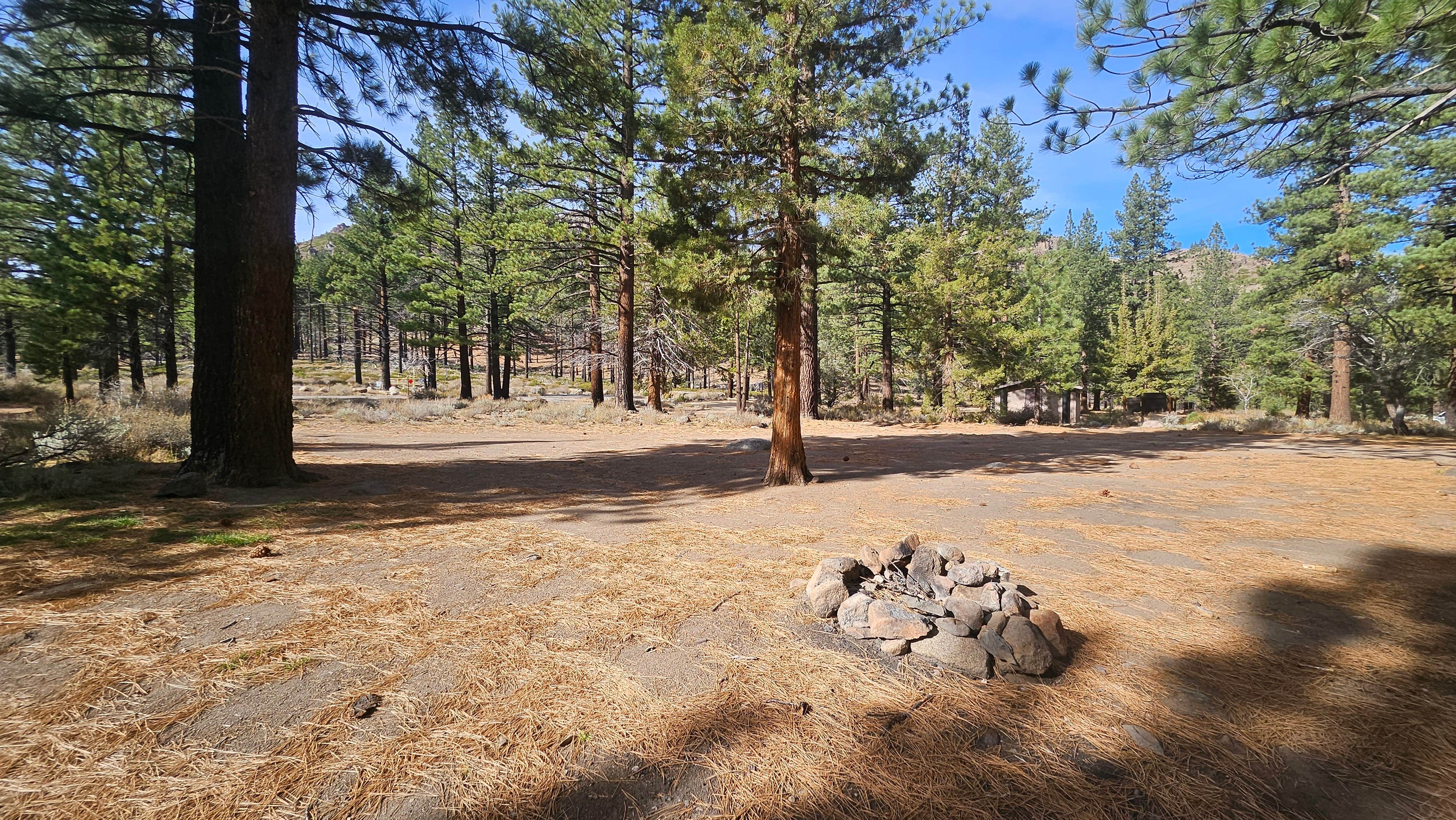 Camper submitted image from Centerville Flat Campground - 5