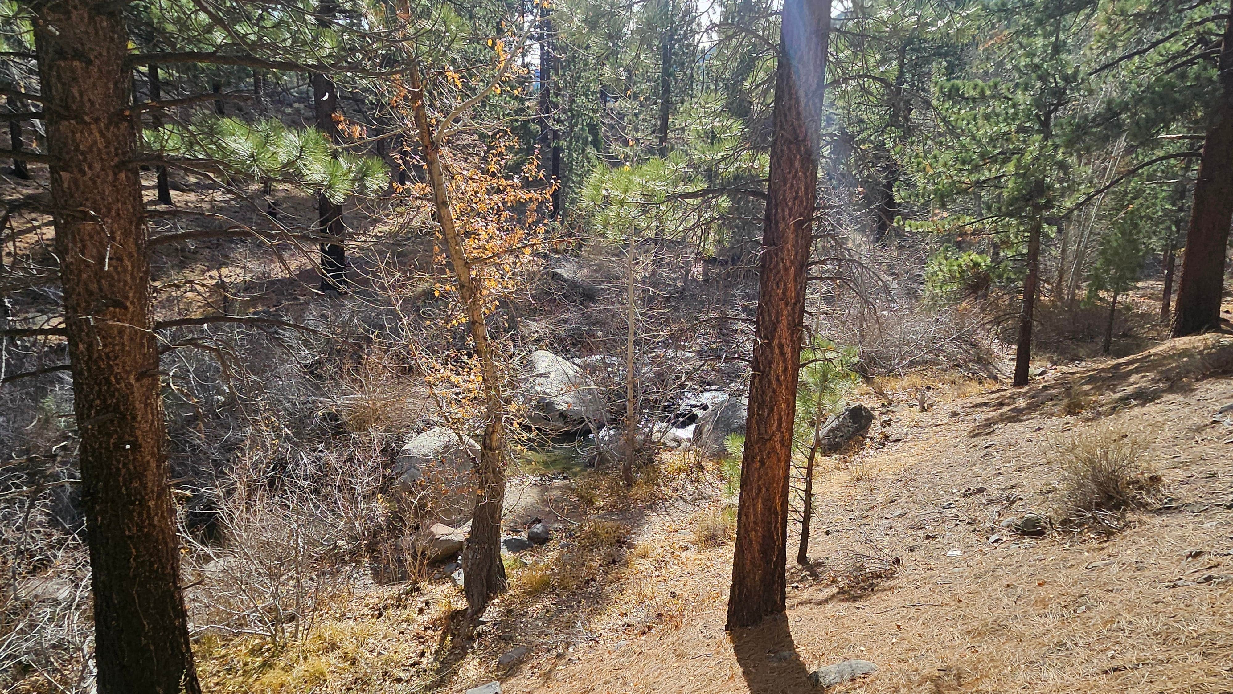 Camping near Topaz Lodge RV Park: Centerville Flat Campground, Markleeville, Nevada