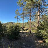 Review photo of Chilao Campground by Katy K., June 29, 2026