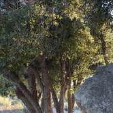 Review photo of Chilao Campground by Kaitlin S., June 25, 2026