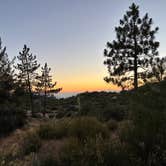 Review photo of Chilao Campground by Katy K., June 29, 2026