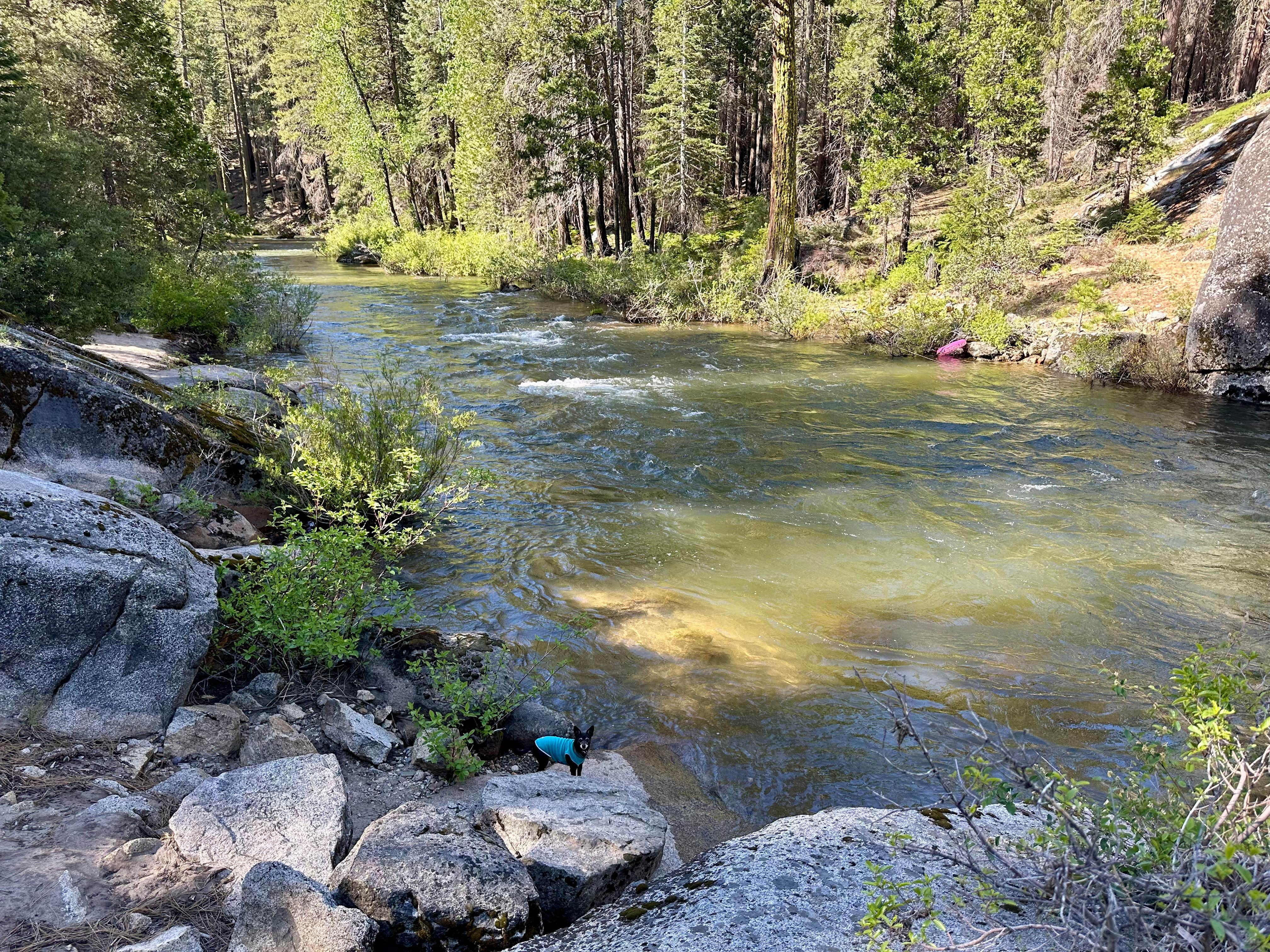 Camper-submitted photo at China Flat Campground near Eldorado National Forest