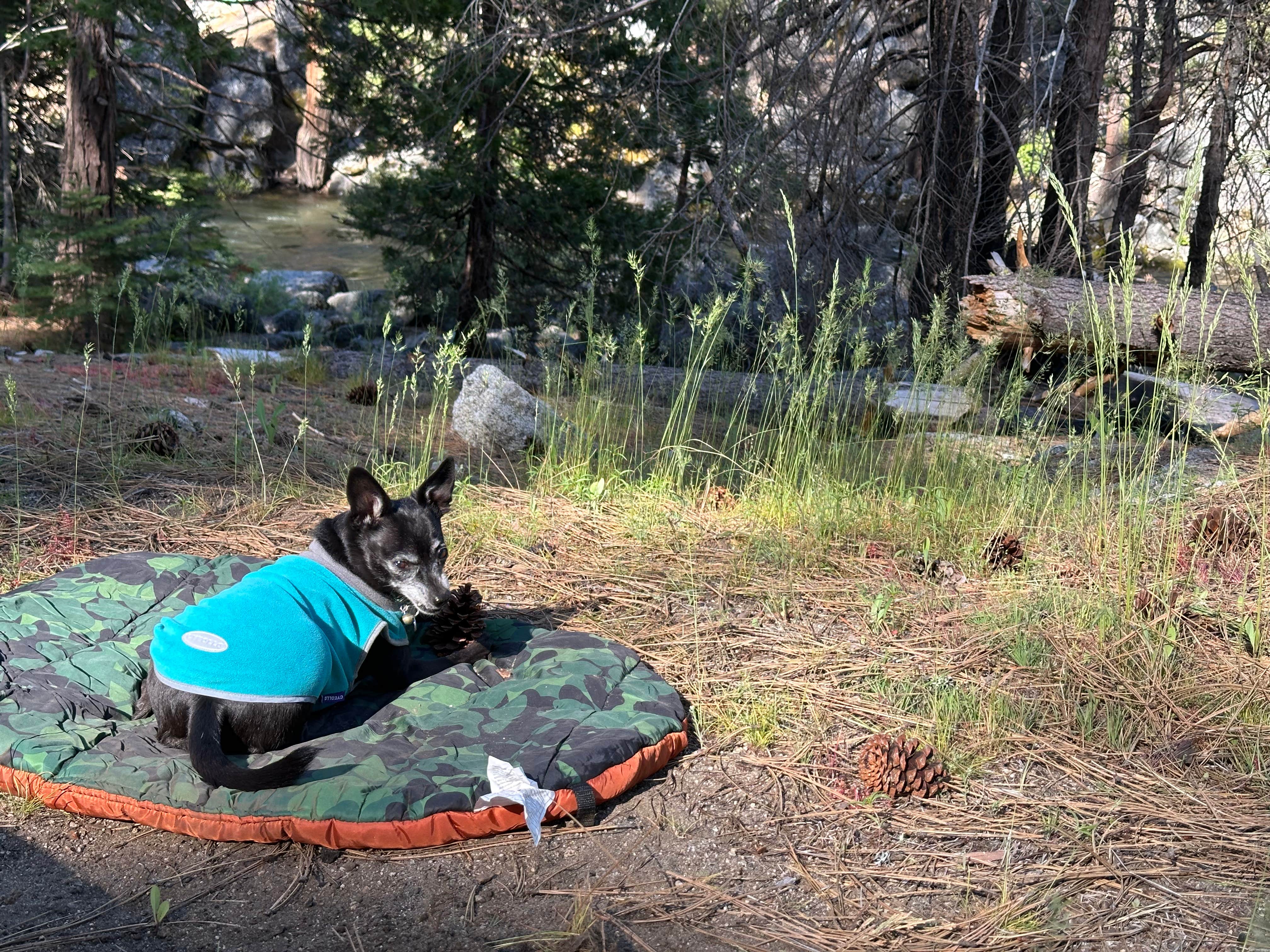 Camper-submitted photo at China Flat Campground near Eldorado National Forest