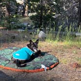 Review photo of China Flat Campground by LILI P., July 28, 2025