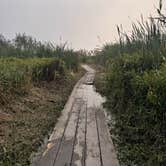 Review photo of Clam Beach County Park by Kylee R., October 4, 2026