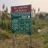 Review photo of Clam Beach County Park by Kylee R., October 4, 2026