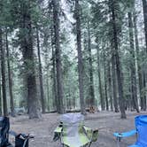 Review photo of Clark Fork Campground by Mathew G., July 26, 2026