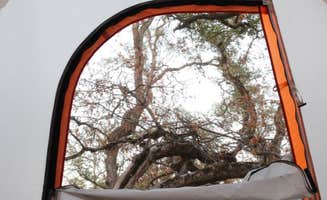 R. J.'s photo of tent camping at Lower Bayview Campground — Clear Lake State Park near Healdsburg, CA