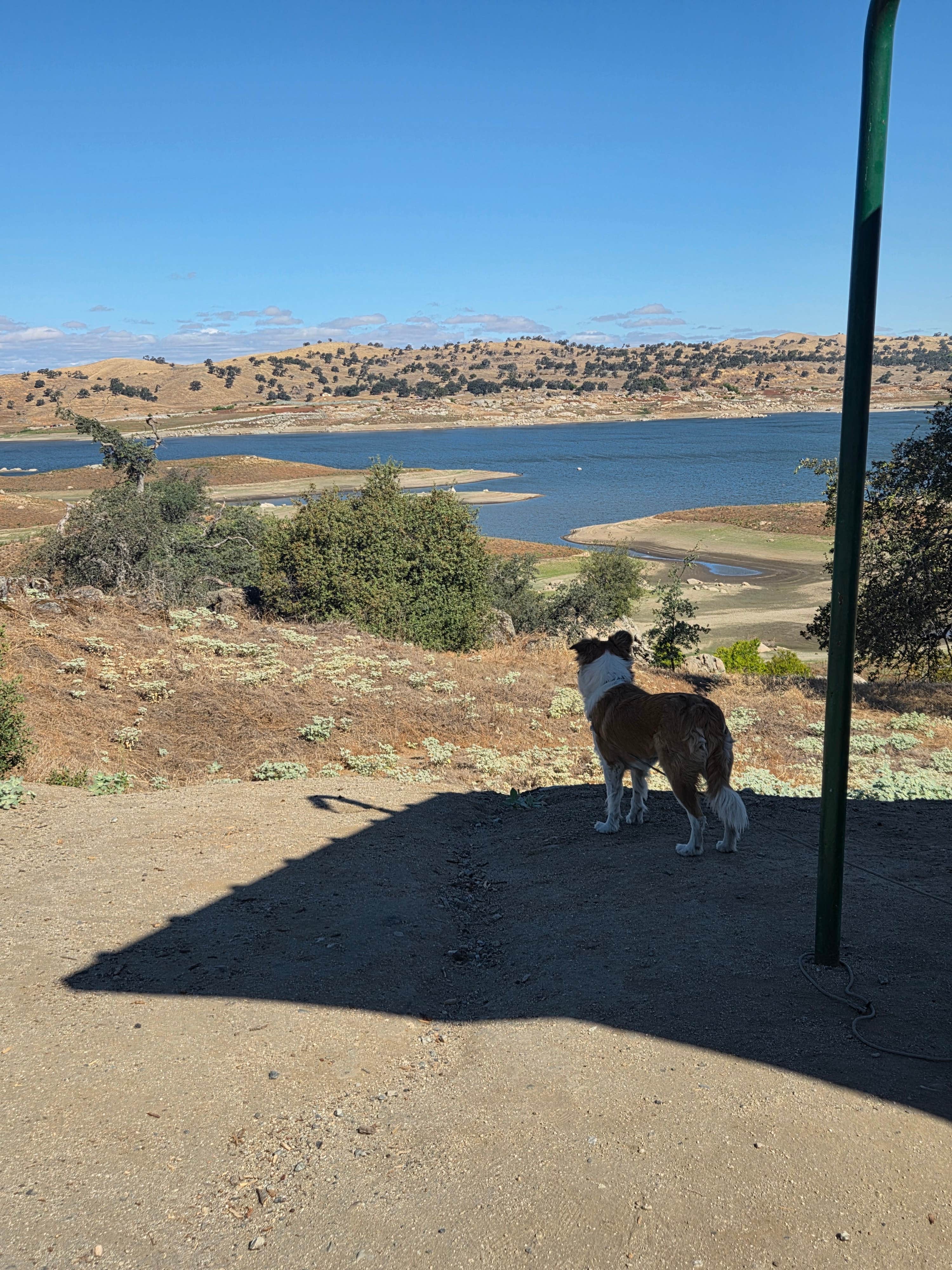 Jerina V.'s photo of camping with pets at COE Eastman Lake Codorniz Campground near Firebaugh, CA