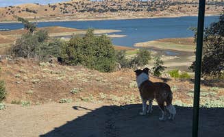 Jerina V.'s photo of camping with pets at COE Eastman Lake Codorniz Campground near Mariposa, CA