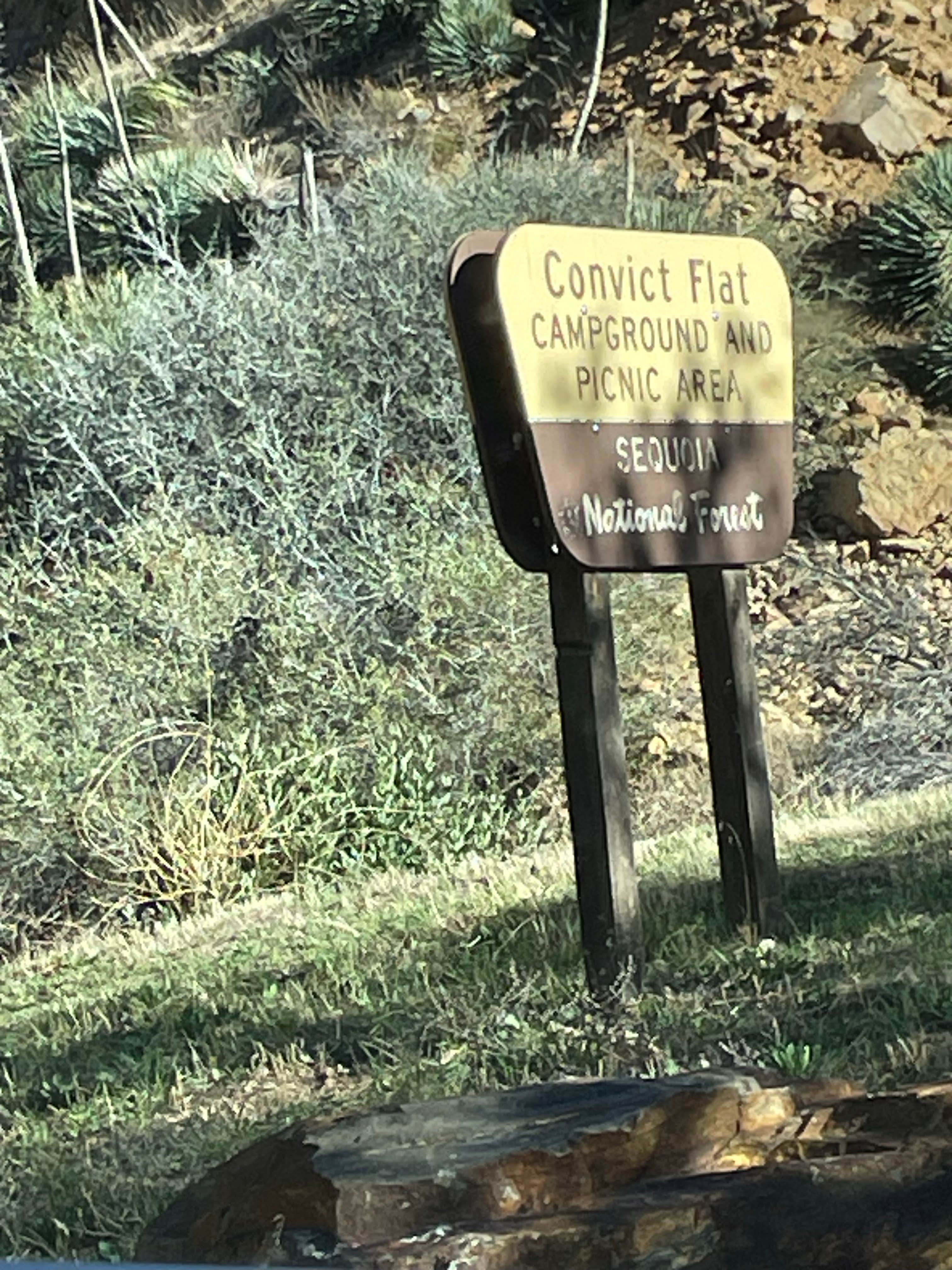 Camper submitted image from Convict Flat Campground - 3