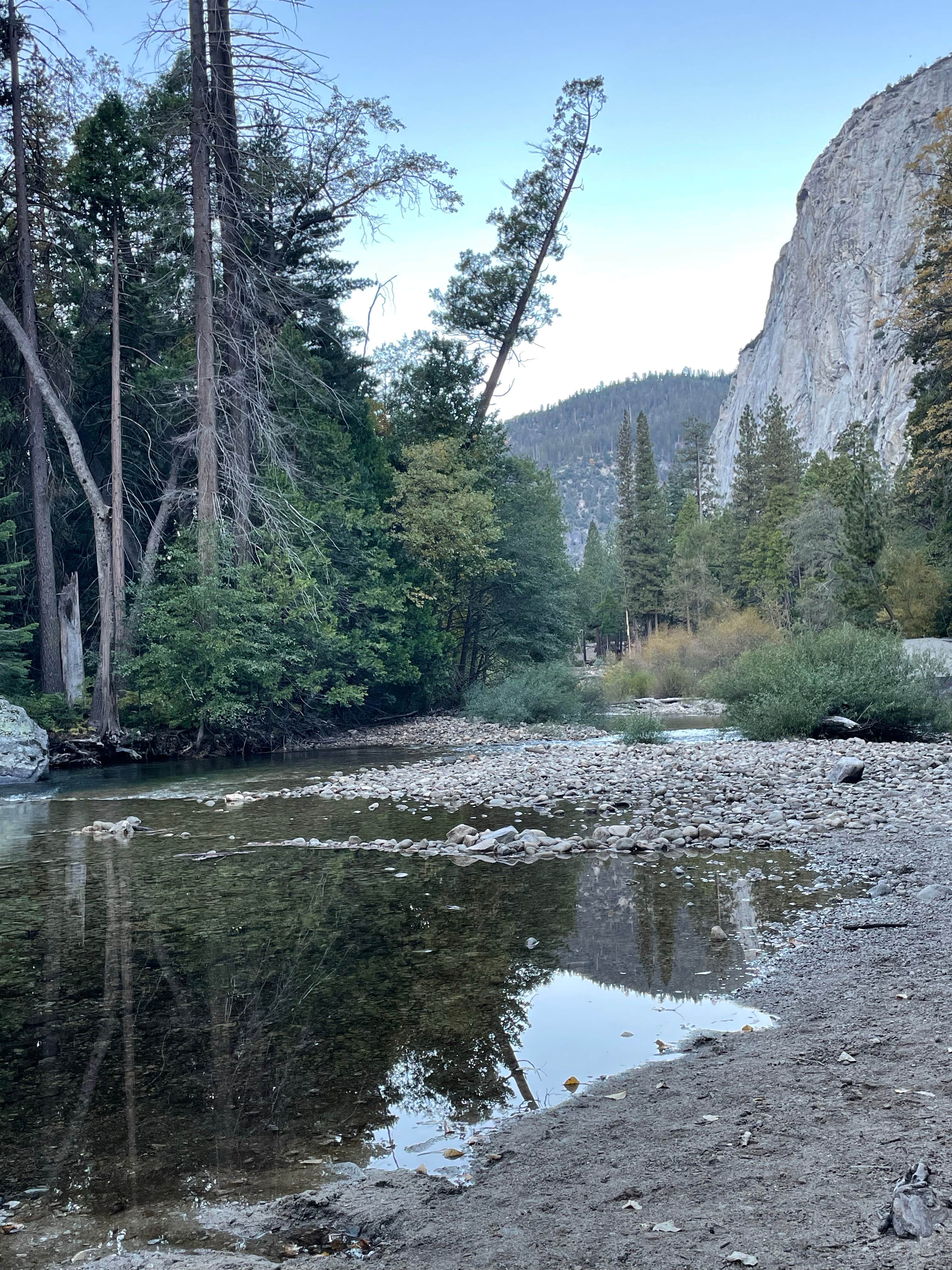 Camper submitted image from Convict Flat Campground - 5