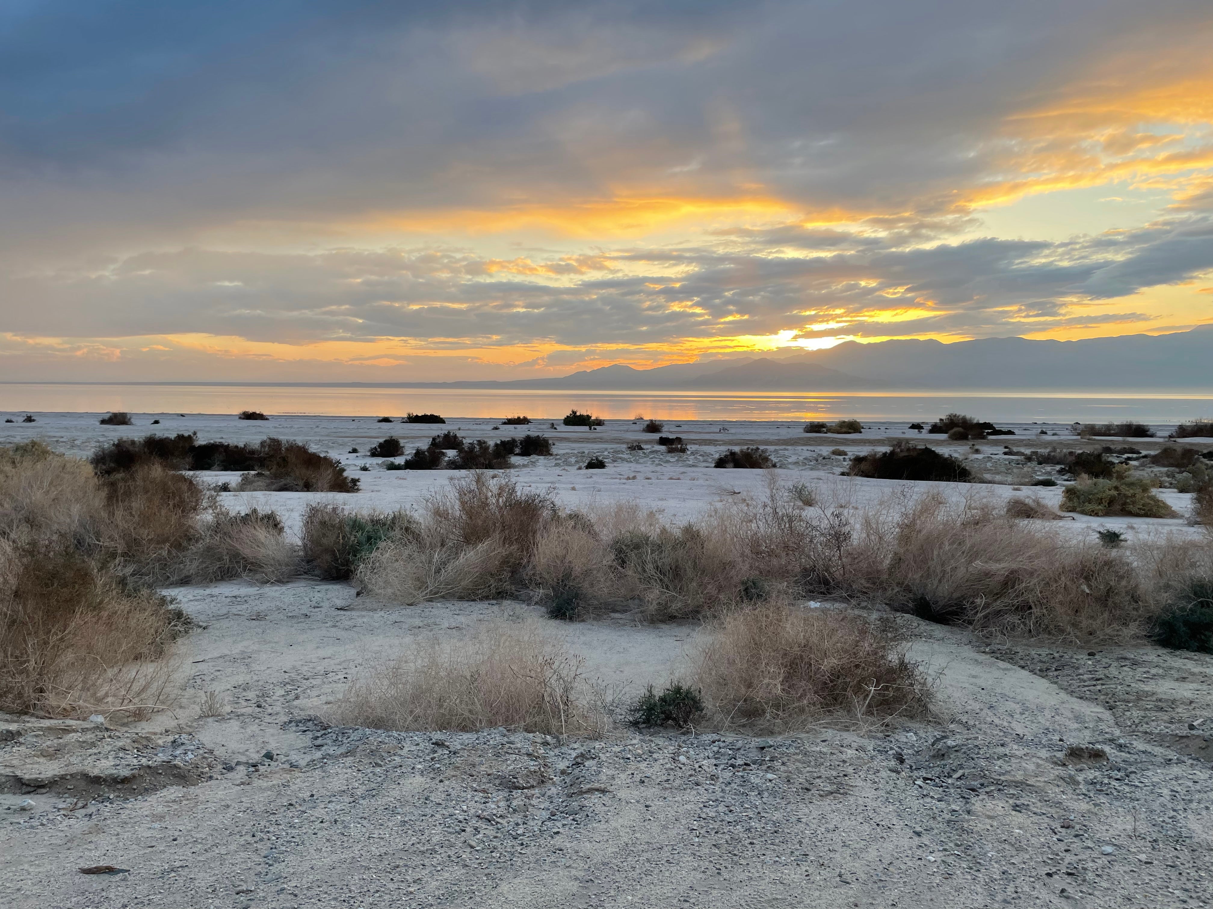 Camper submitted image from Corvina Beach Campground — Salton Sea State Recreation Area - 4