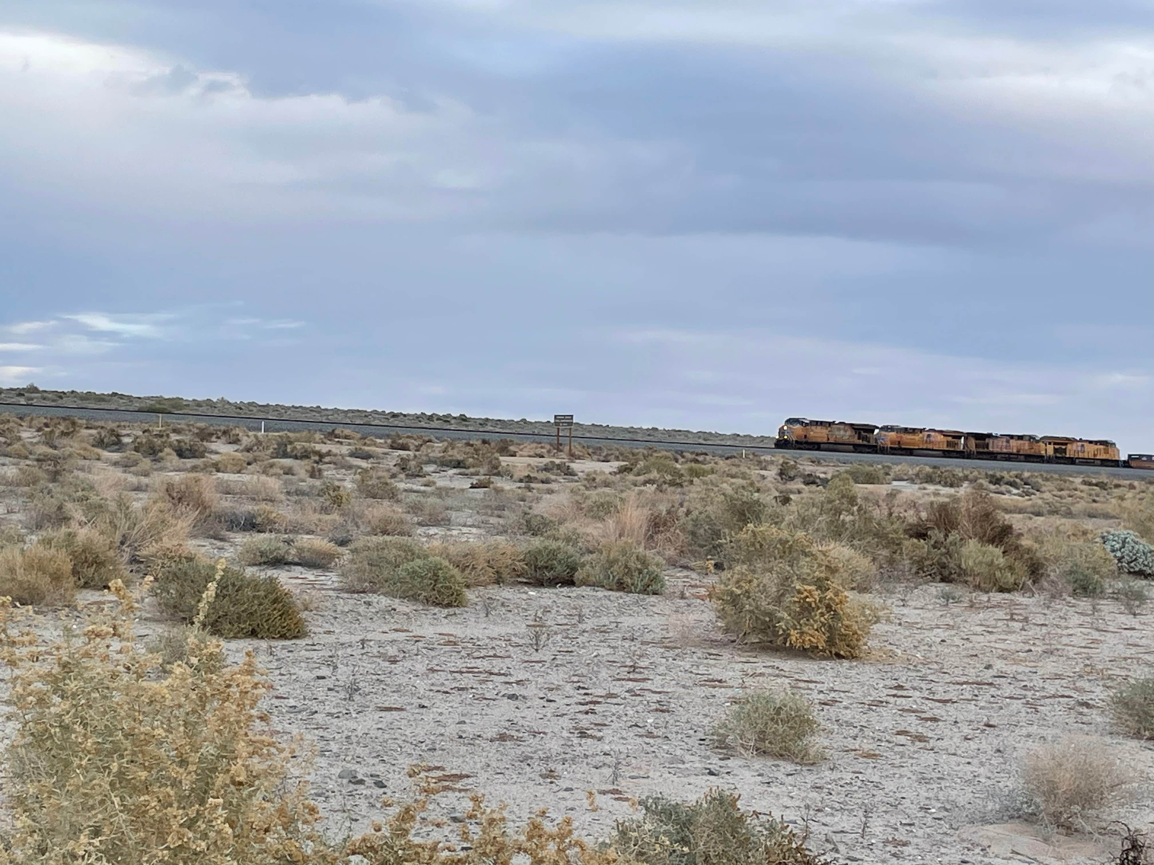 Camper-submitted photo at Corvina Beach Campground — Salton Sea State Recreation Area near Coolidge Springs, CA