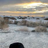 Review photo of Corvina Beach Campground — Salton Sea State Recreation Area by Tammy Rae S., December 24, 2023
