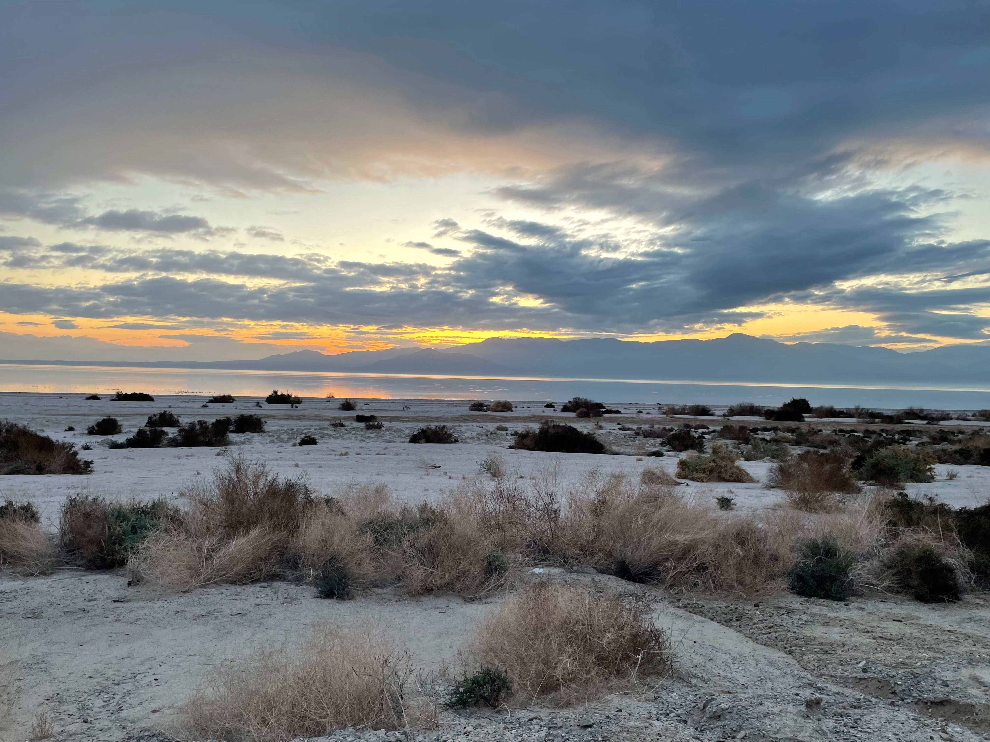 Camper submitted image from Corvina Beach Campground — Salton Sea State Recreation Area - 5