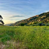 Review photo of Coyote Lake Harvey Bear Ranch County Park by Michelle W., June 17, 2024