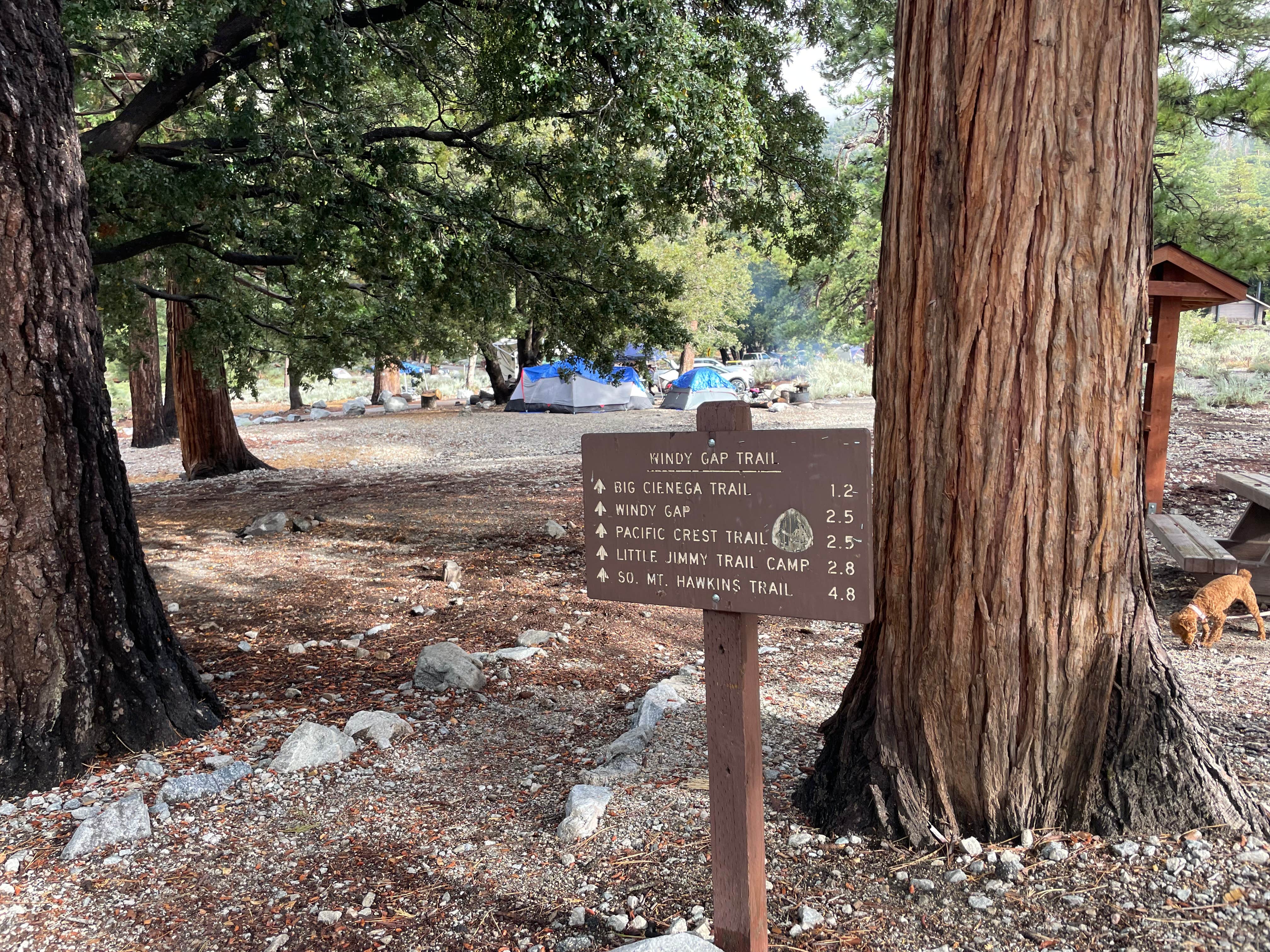 Les R.'s photo of camping with pets at Crystal Lake Rec Area Campground near Acton, CA
