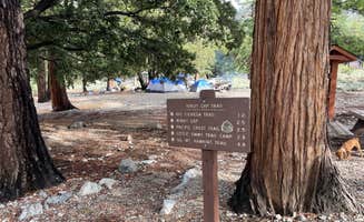 Les R.'s photo of camping with pets at Crystal Lake Rec Area Campground near San Gabriel, CA