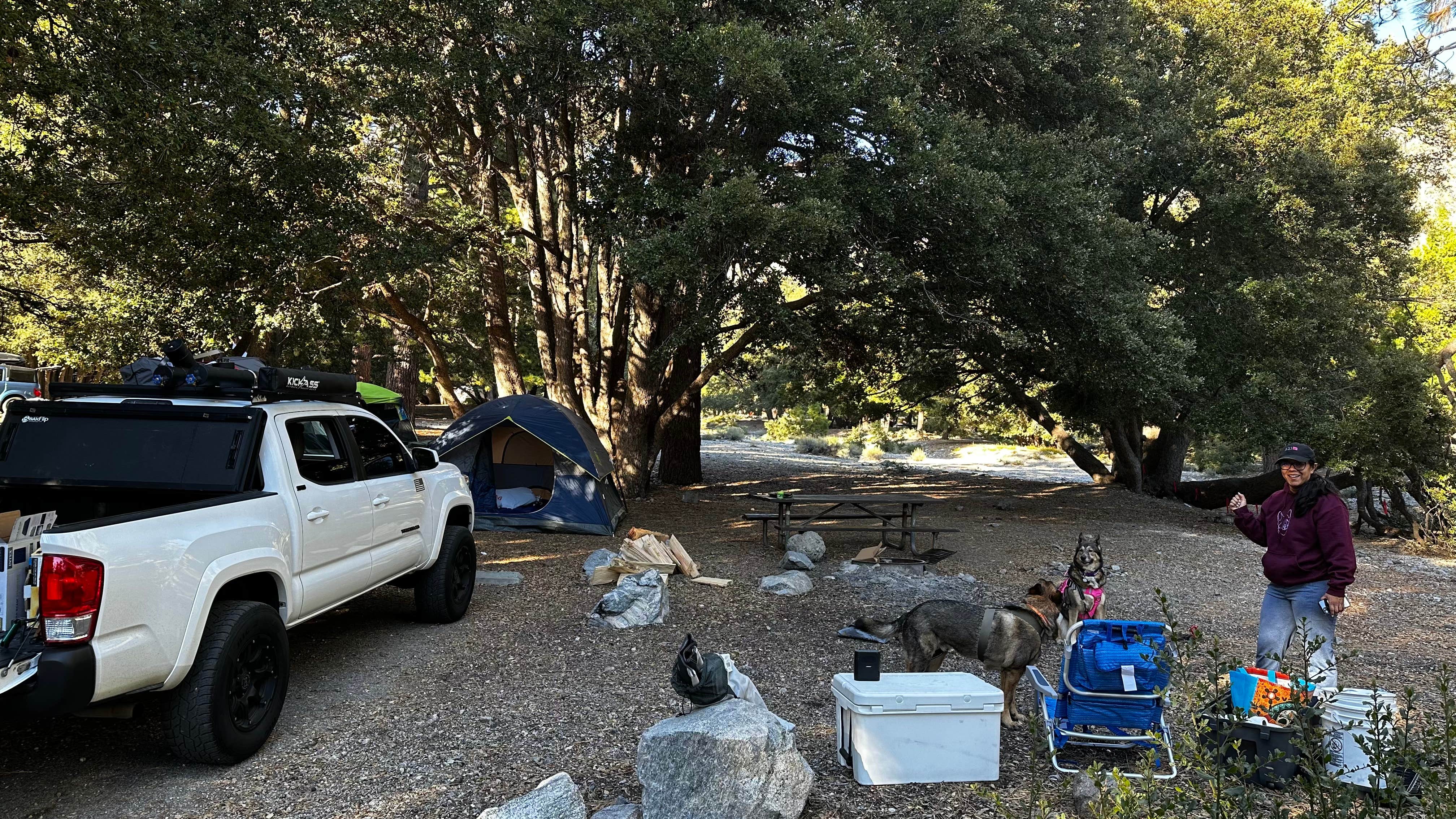 Scott D.'s photo of camping with pets at Crystal Lake Rec Area Campground near Verdugo City, CA