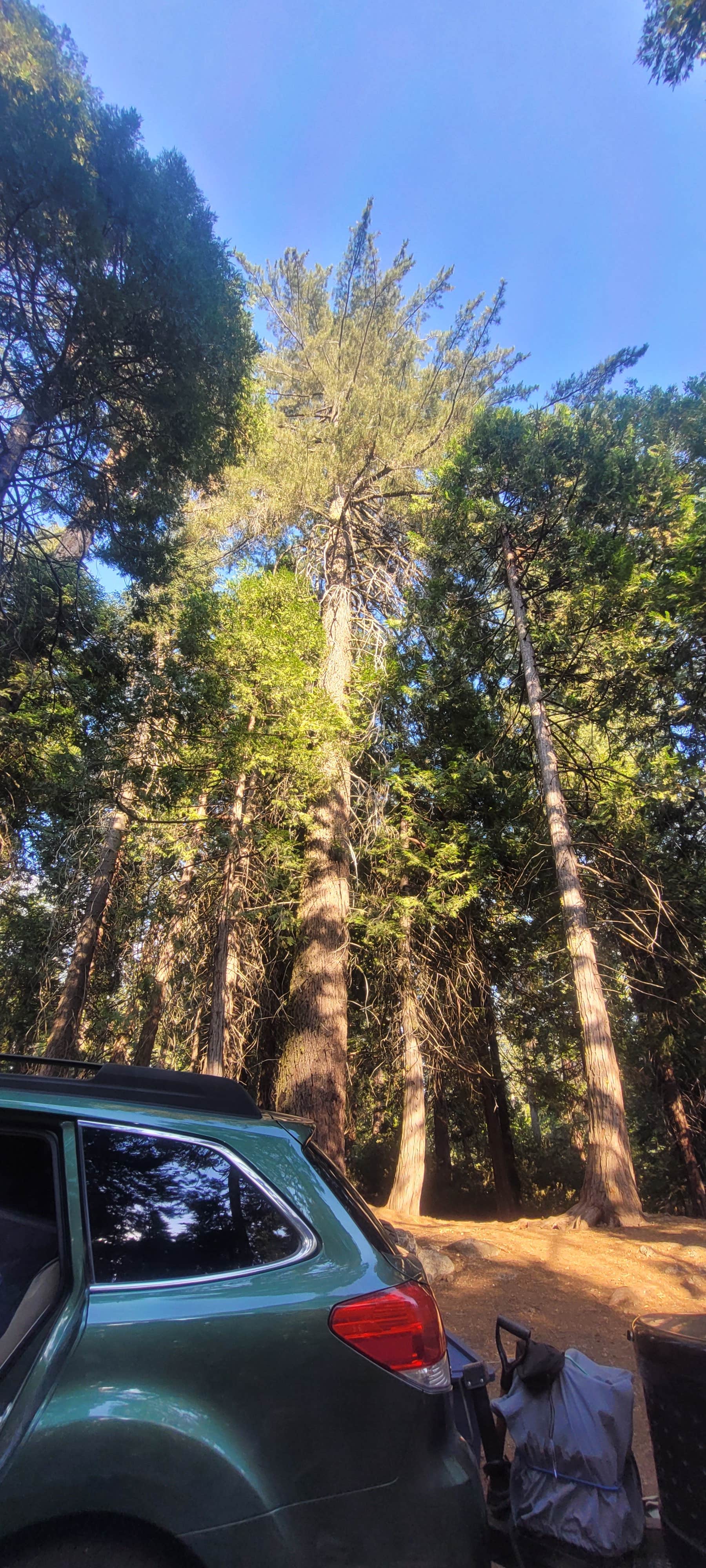 Camper-submitted photo at Crystal Springs Campground near Markleeville, CA