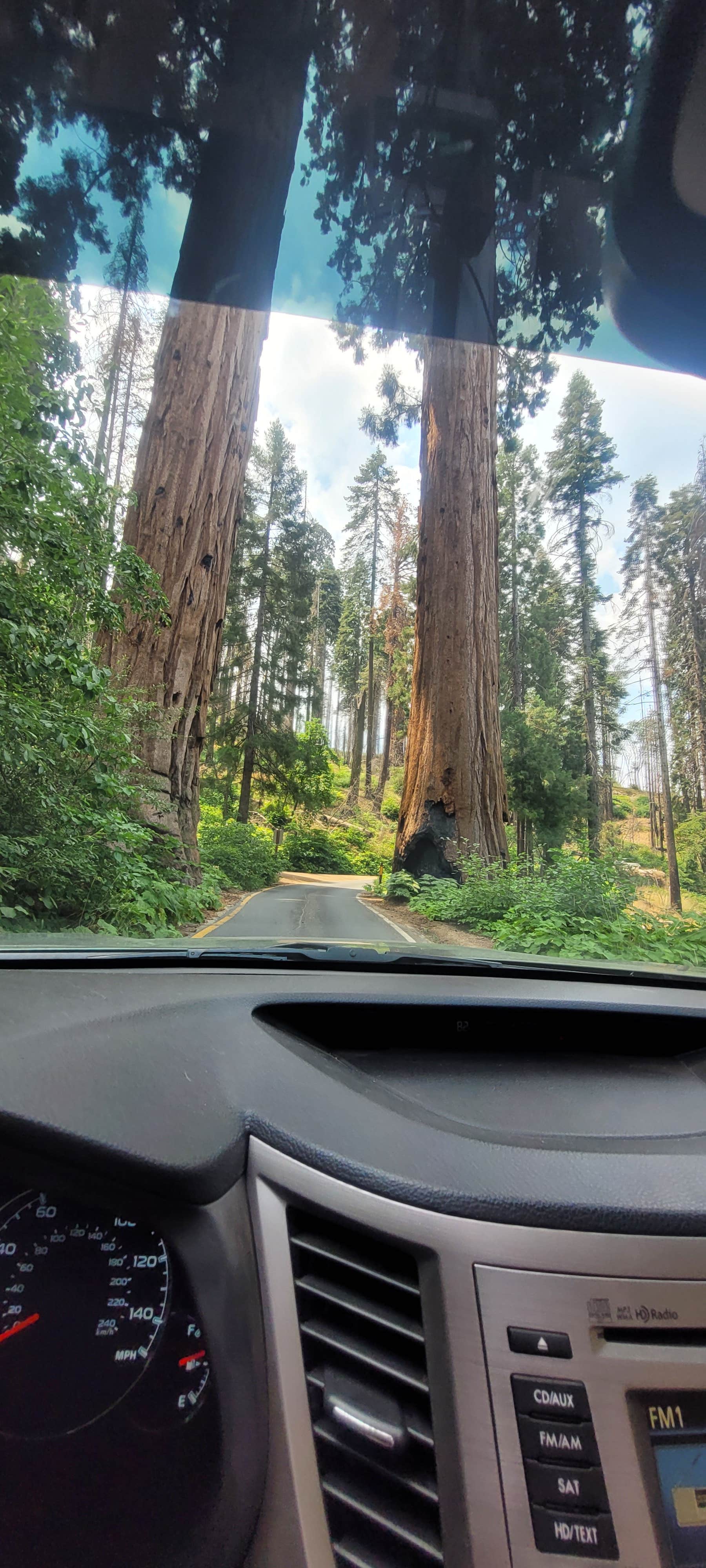 Camper-submitted photo at Crystal Springs Campground near Markleeville, CA