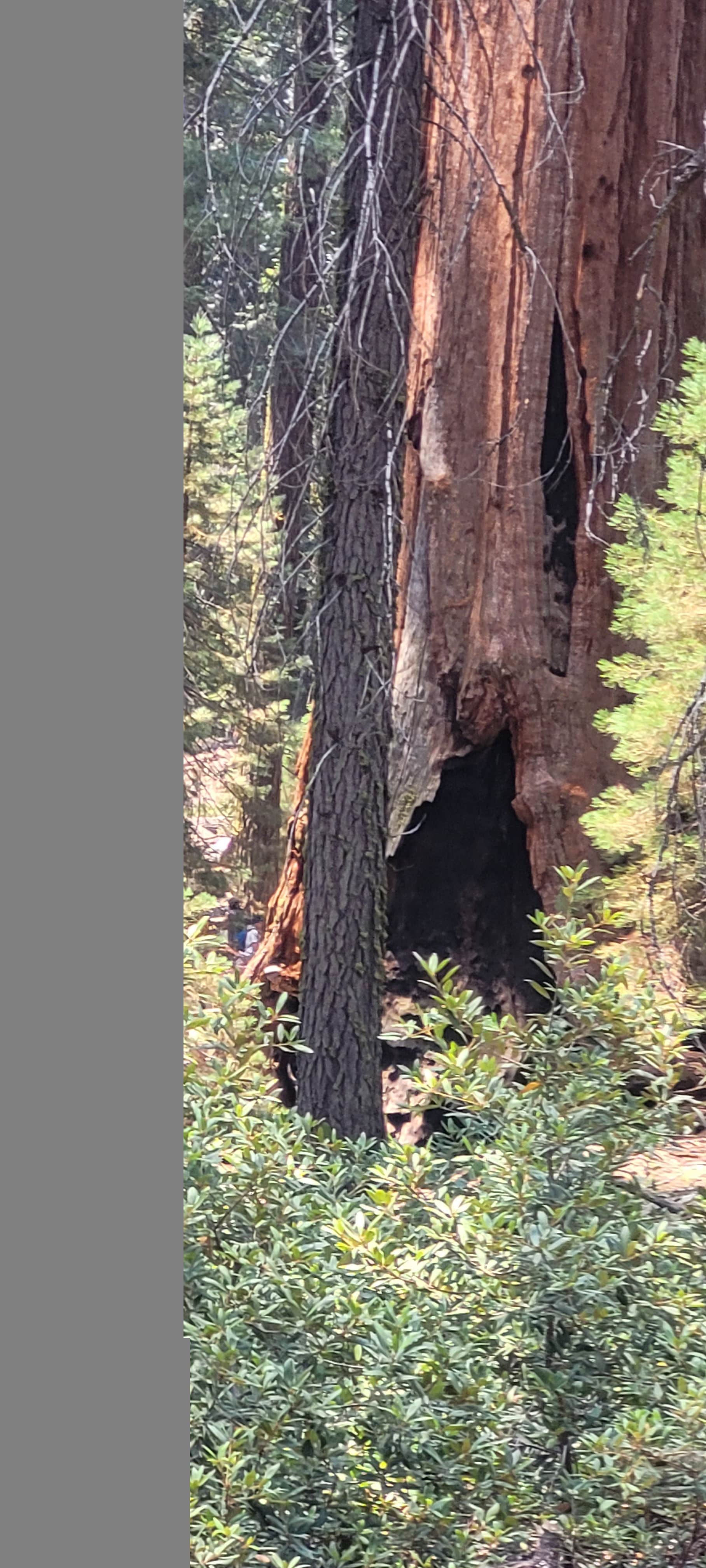 Camper-submitted photo at Crystal Springs Campground near Markleeville, CA