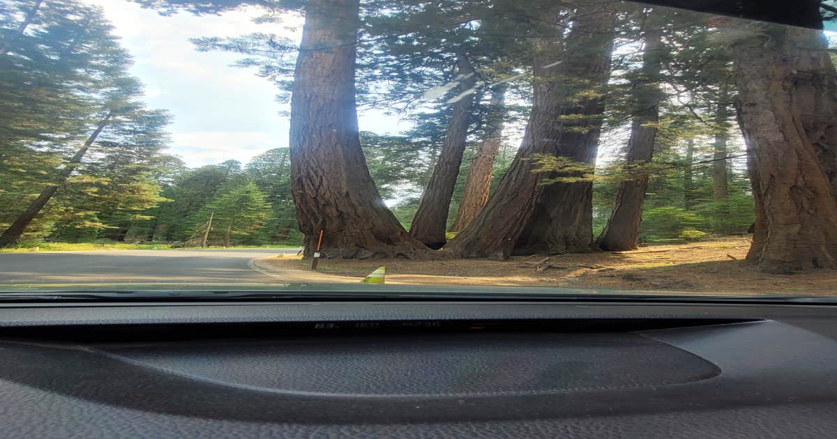 Crystal Springs Campground