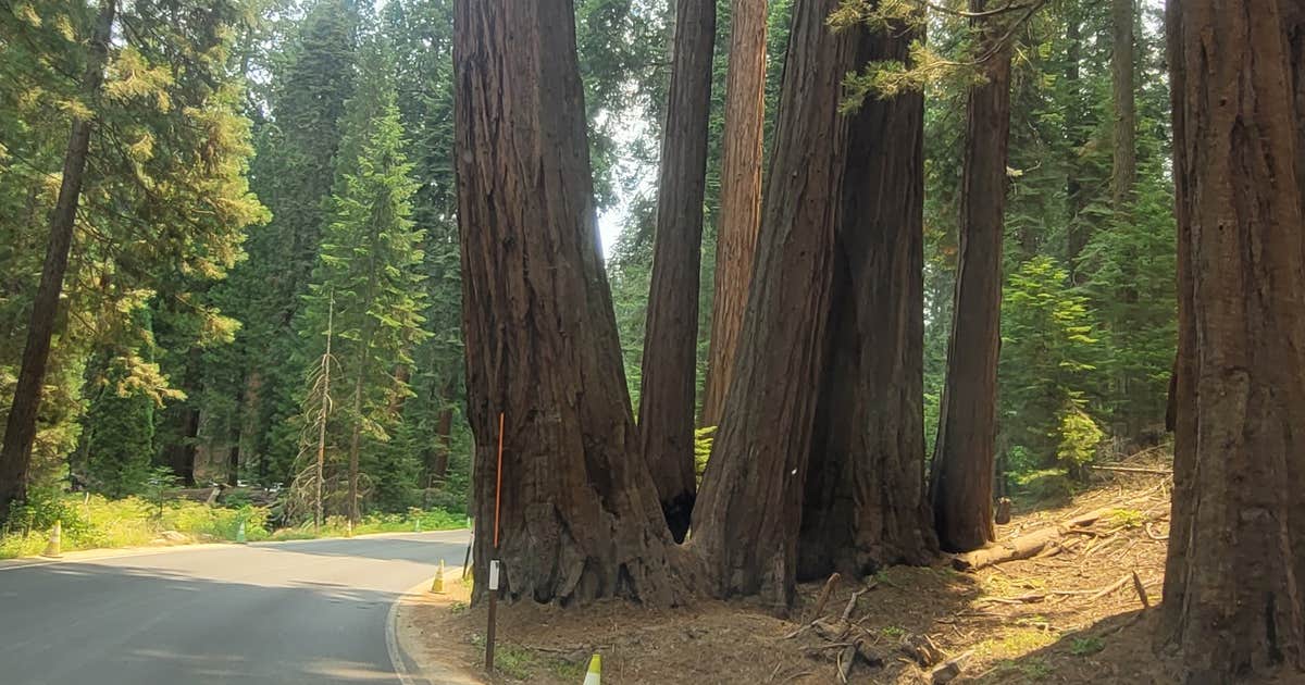 Crystal Springs Campground