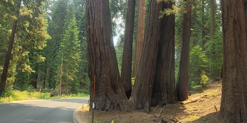 Camper submitted image from Crystal Springs Campground