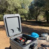Review photo of Green Valley Campground — Cuyamaca Rancho State Park by Tean B., November 30, 2025