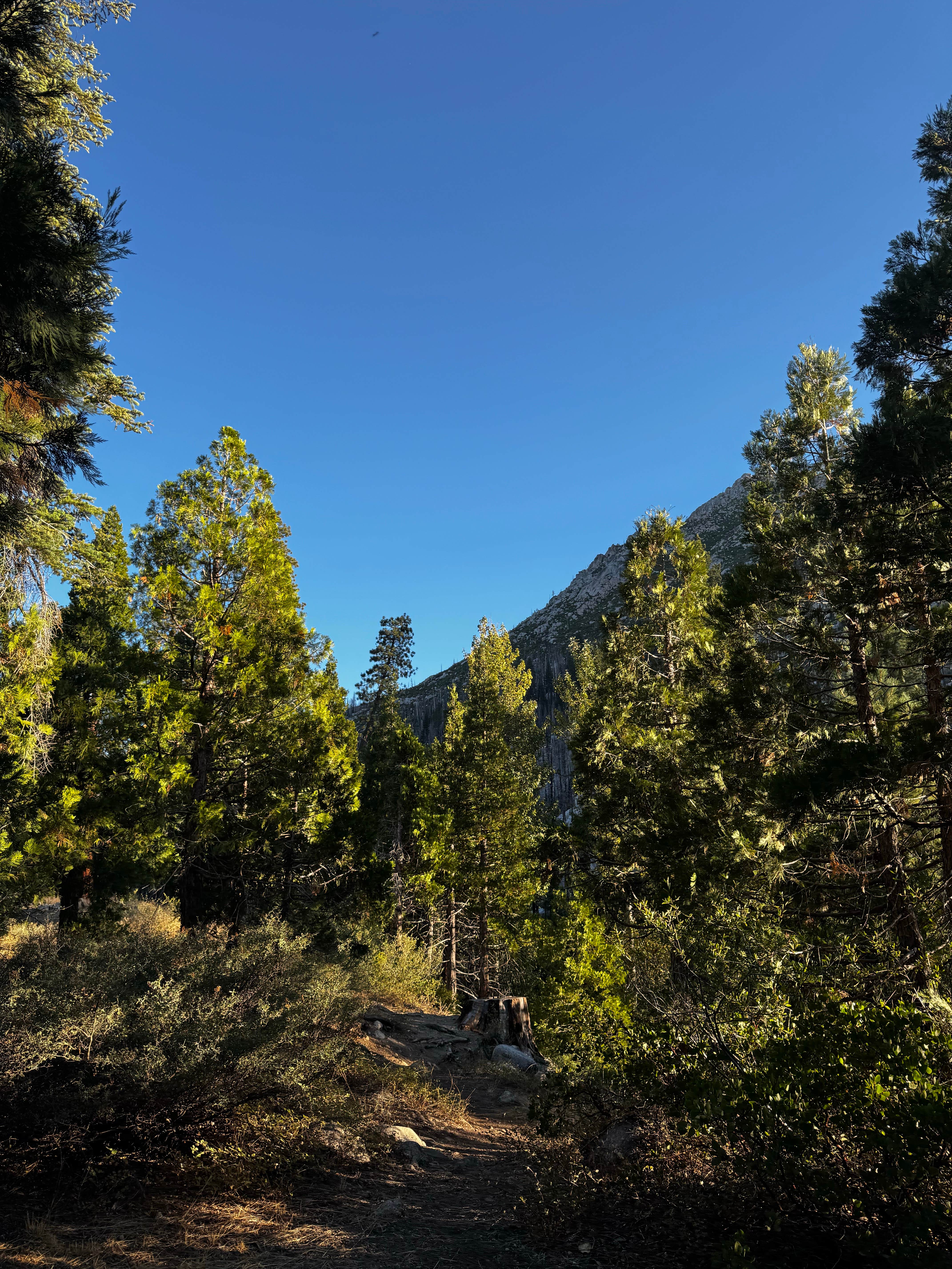 Camper-submitted photo at Dardanelle Campground near Stanislaus National Forest