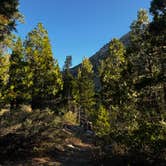 Review photo of Dardanelle Campground by Liyah P., August 22, 2026