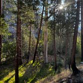 Review photo of Dardanelle Campground by Liyah P., August 22, 2026