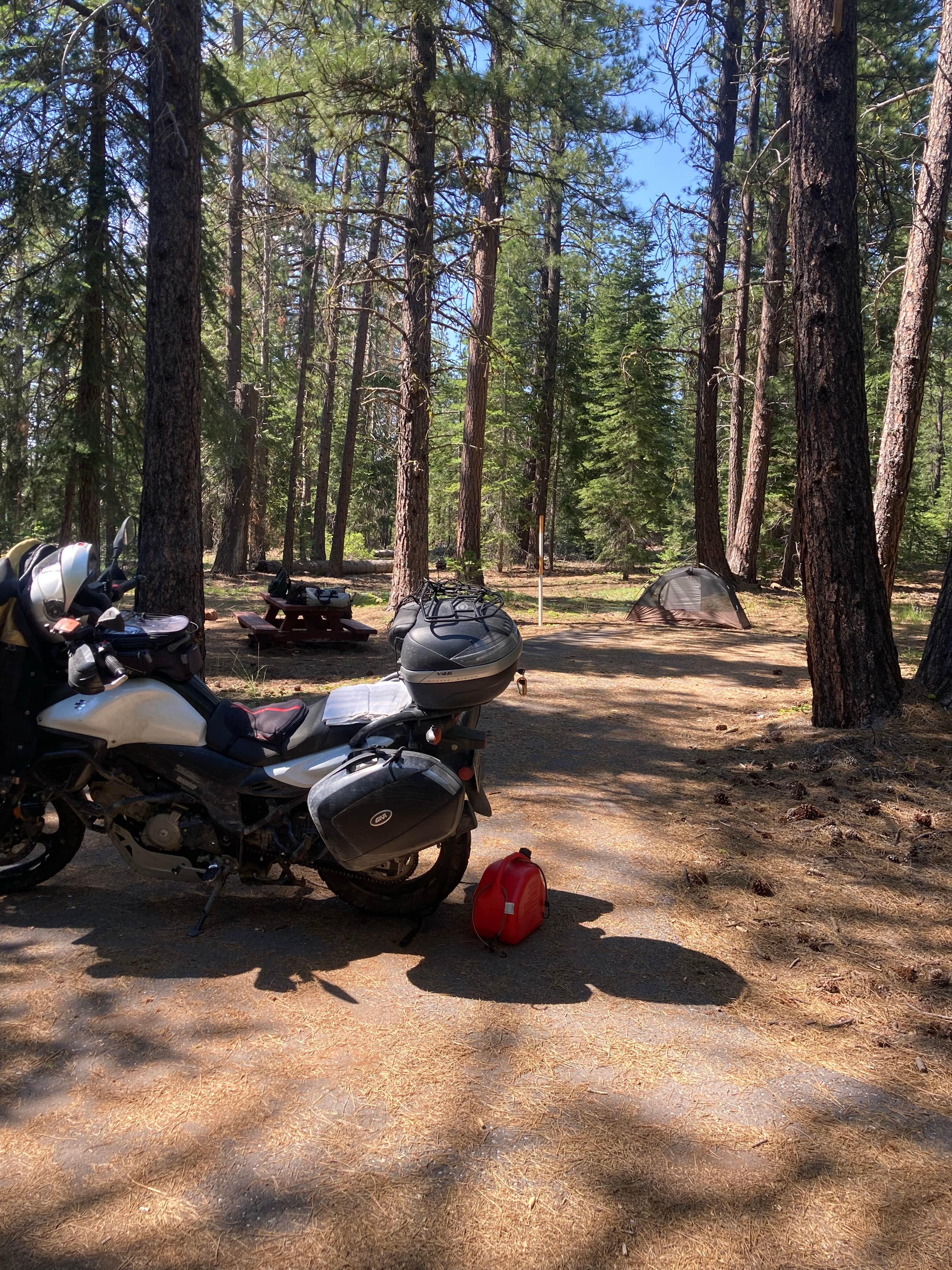 Camper submitted image from Deer Mountain Snowpark - 1