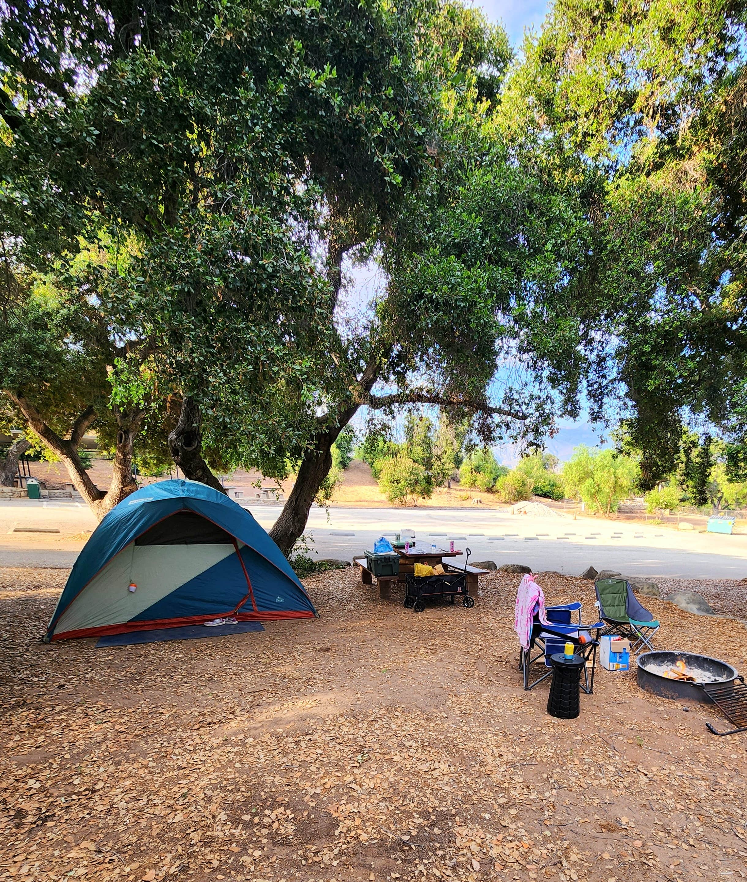 Elaine H.'s photo at Dennison Park near Oxnard, CA