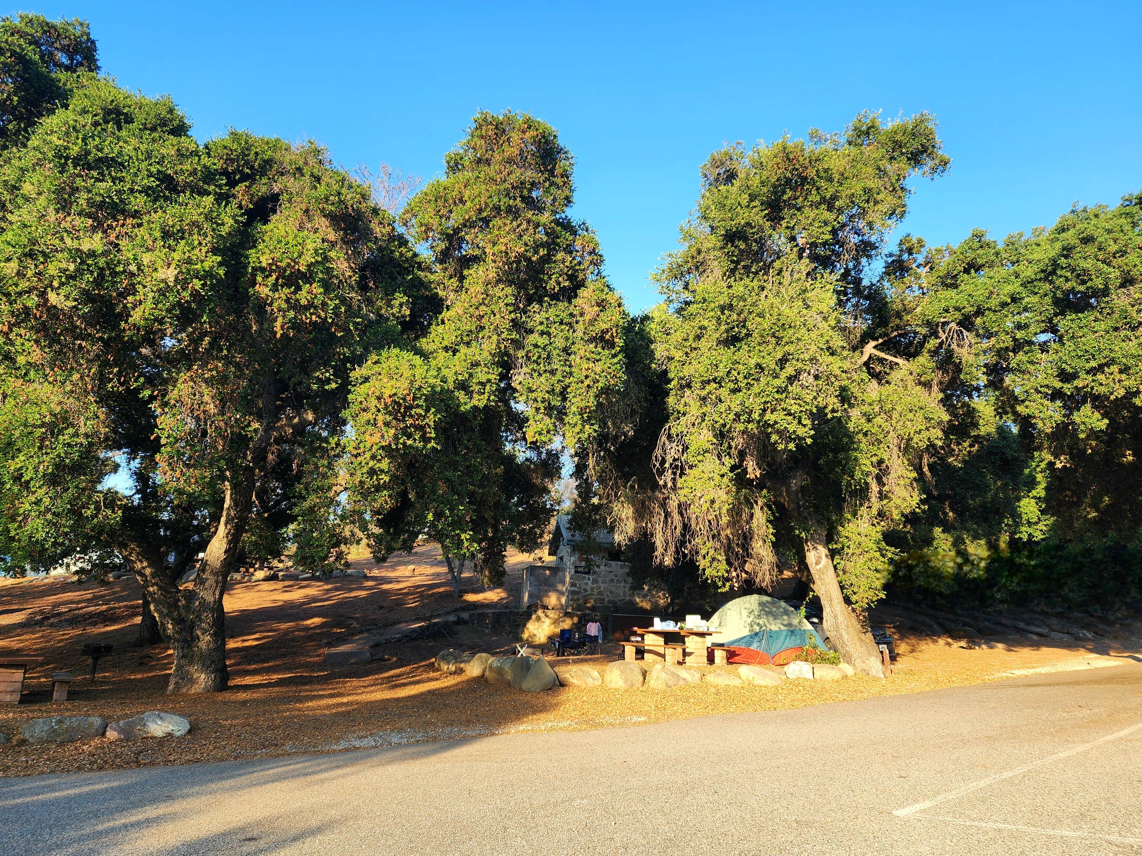 Elaine H.'s photo at Dennison Park near Ventura, CA