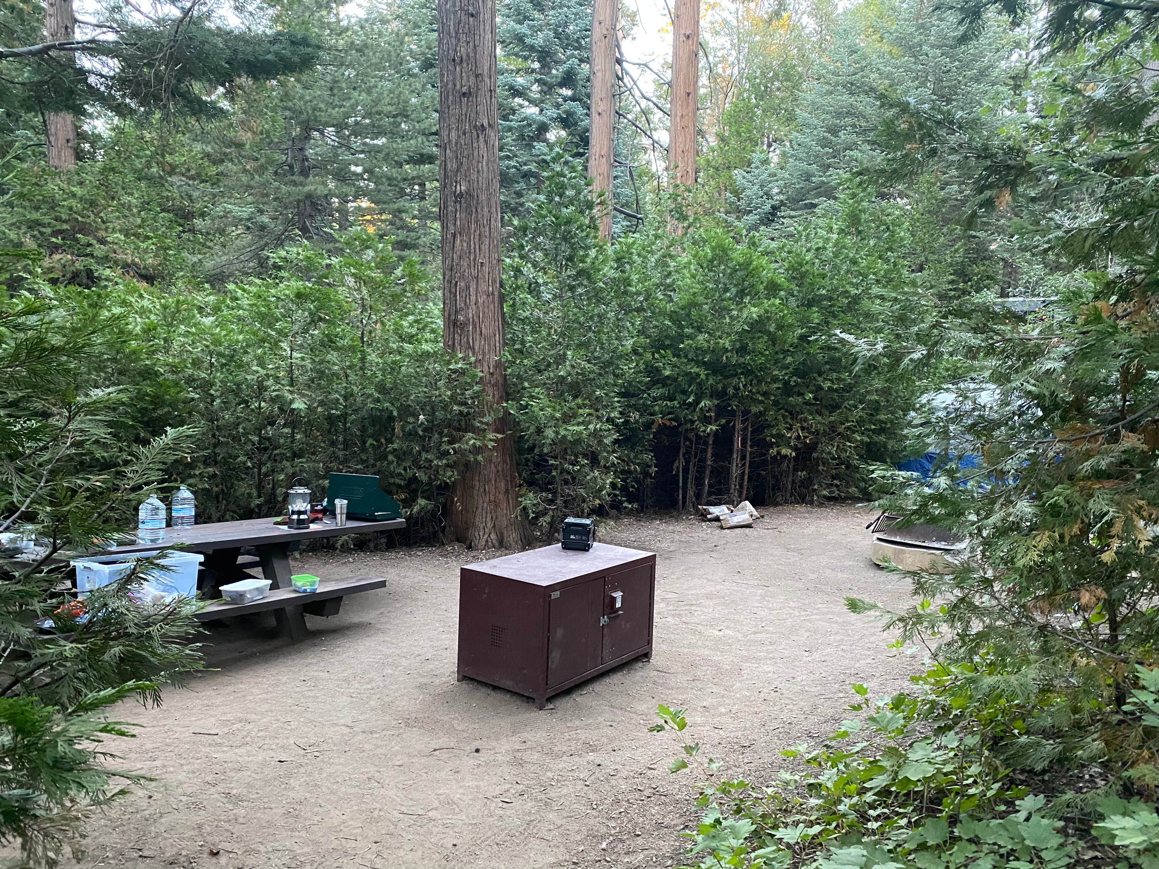 Andre V.'s photo at Dogwood near Colton, CA